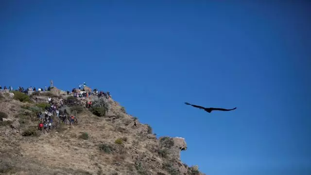 Trip To The South Of Peru