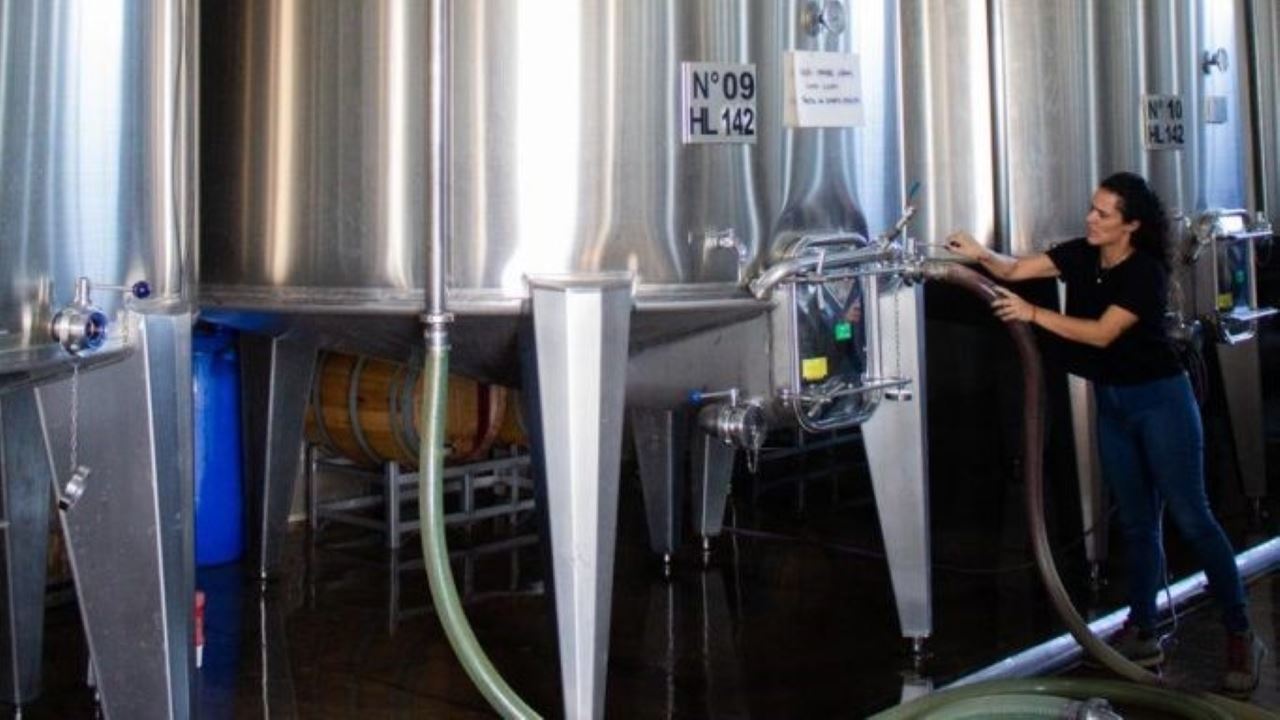 VISITA A BODEGAS CON DEGUSTACION Y ALMUERZO EN MAIPÚ (8)