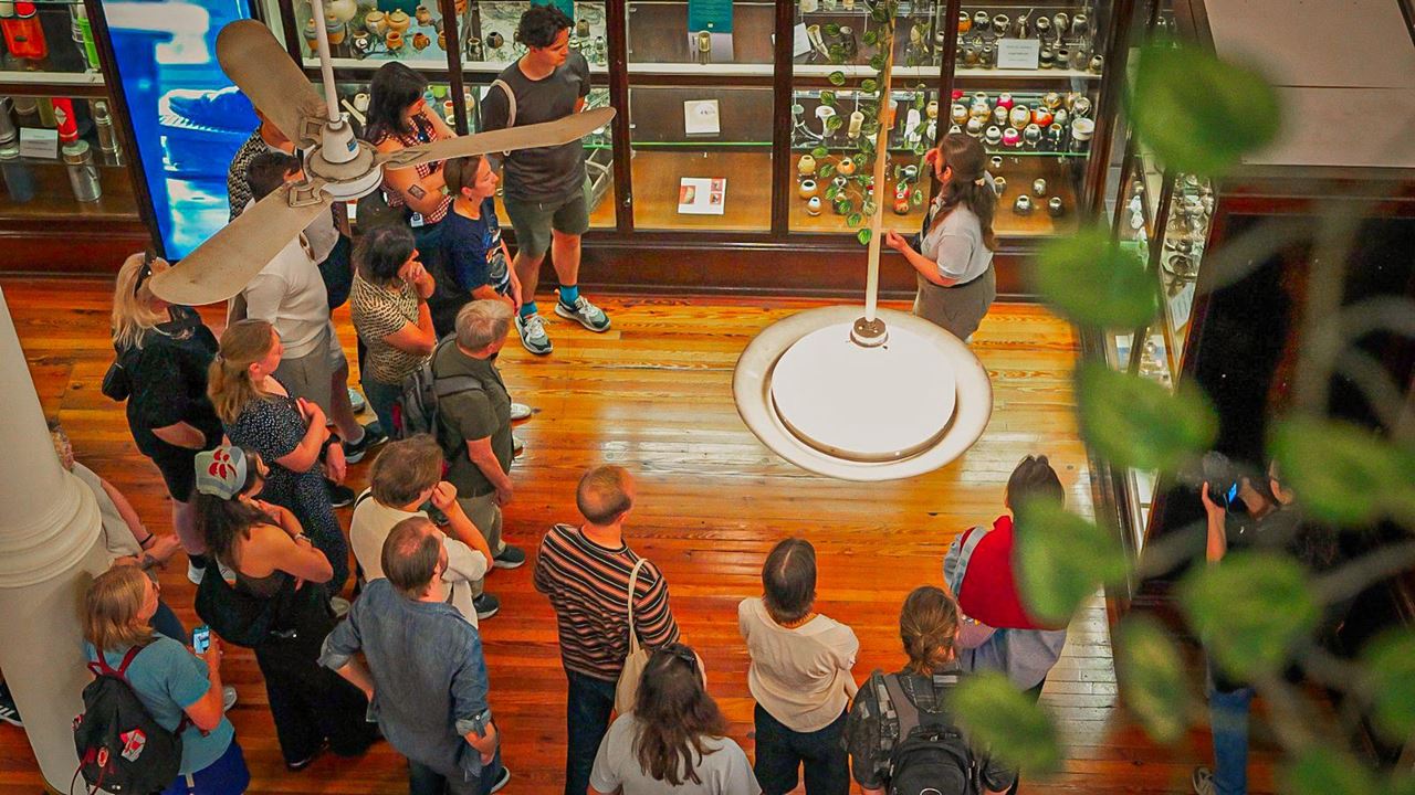 VISITE DU MUSÉE MAT (6)