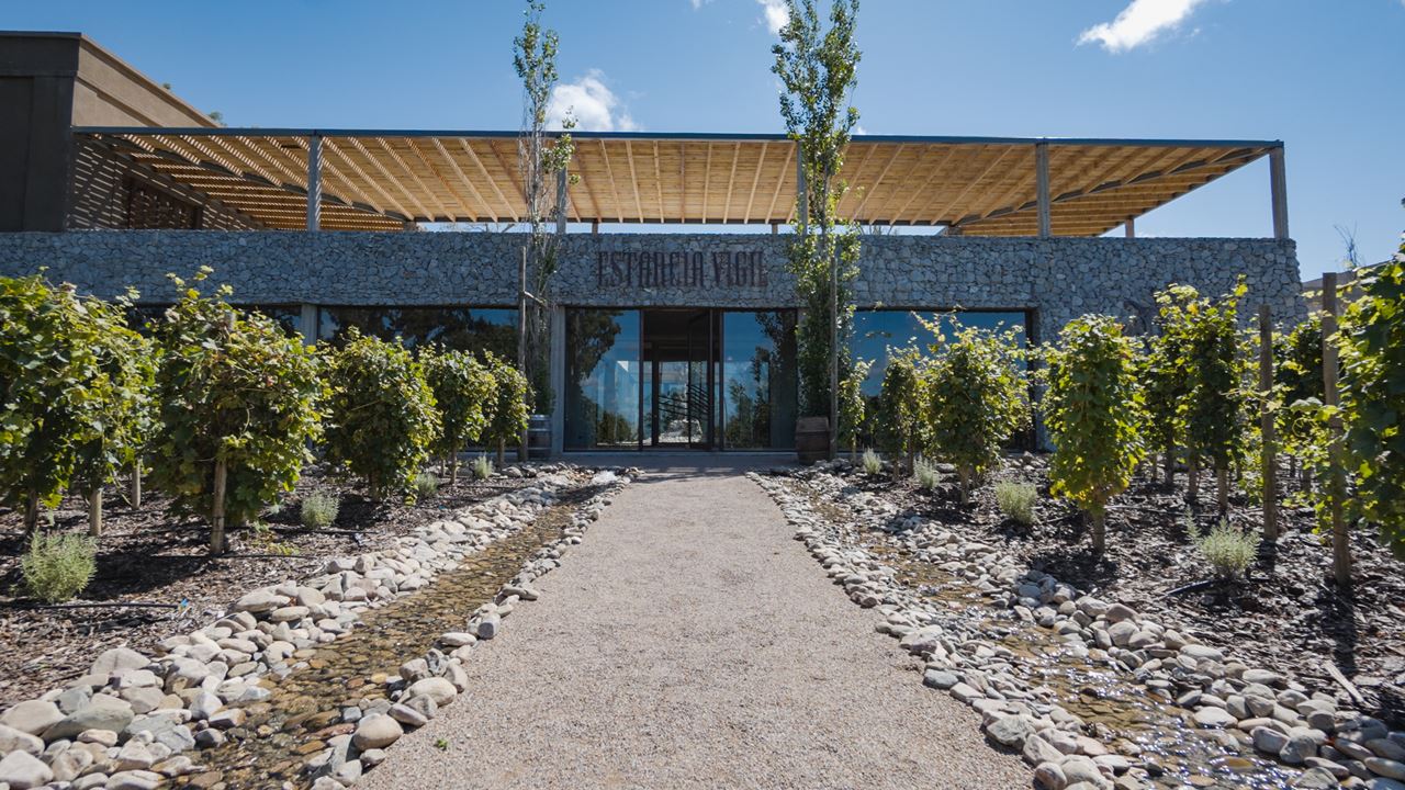 VISITE, DÉGUSTATION ET DÉJEUNER À L`ESTANCIA VIGIL (10)