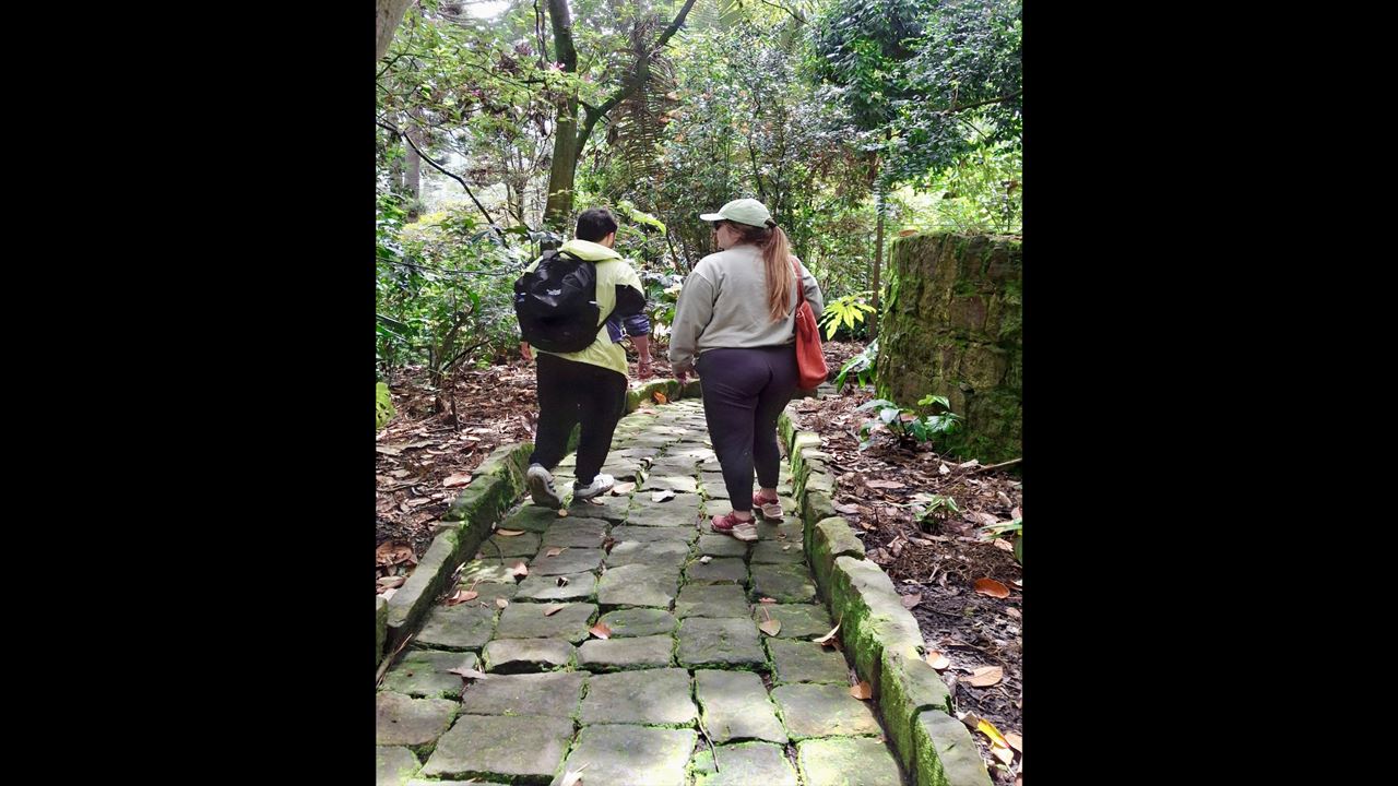 Visit the Botanical Garden (5)