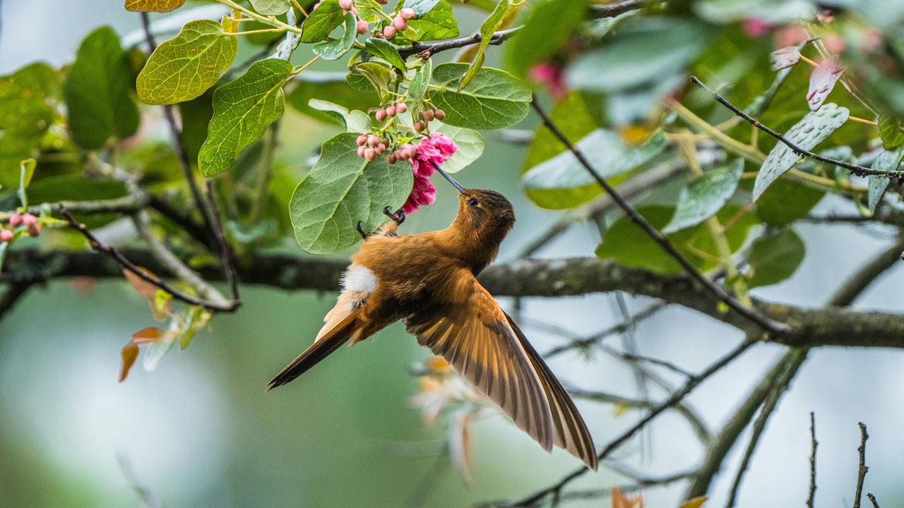 Visit the Botanical Garden (6)