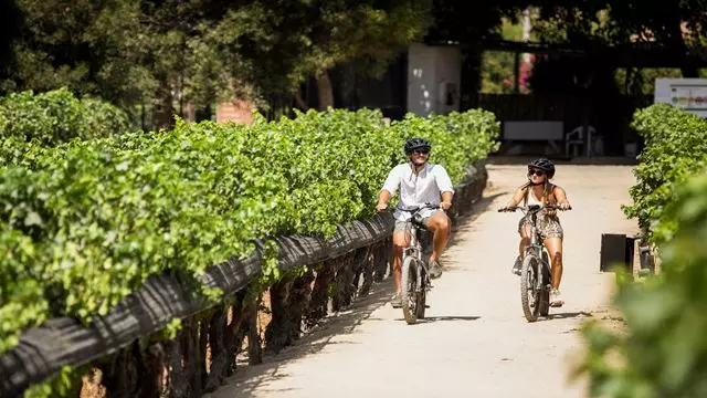Visita El Viñedo Viu Manent Con Degustacion De Vinos