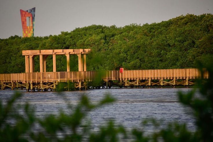 Visite Guidée Du Parc Ciénaga De Mallorquín