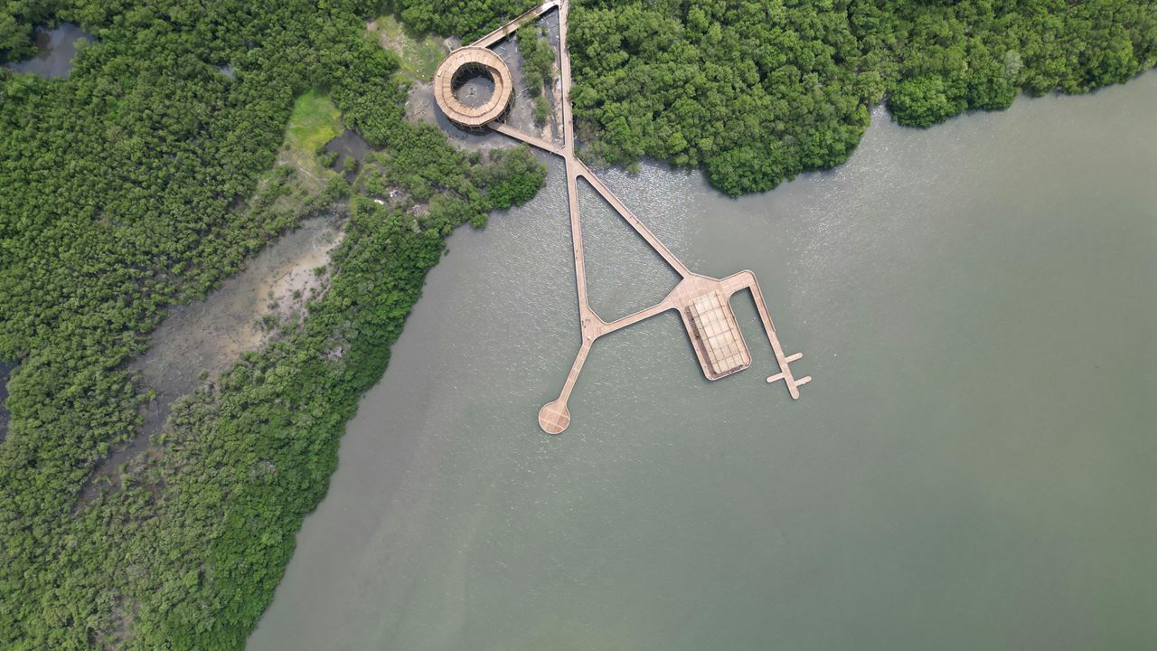 Visita guiada al Parque Ciénaga de Mallorquín (5)