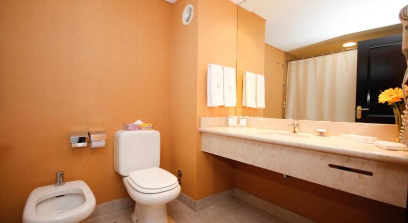 Howard Johnson Plaza Florida Street (10)