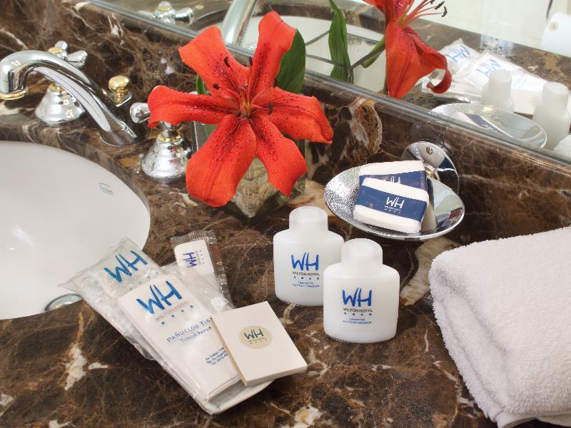 Wilton Hotel Buenos Aires (10)