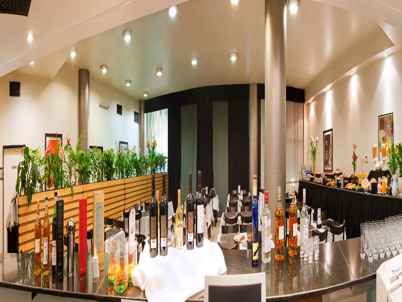 Apart Hotel & Spa Congreso (8)