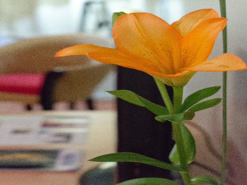 Apart Hotel & Spa Congreso (27)