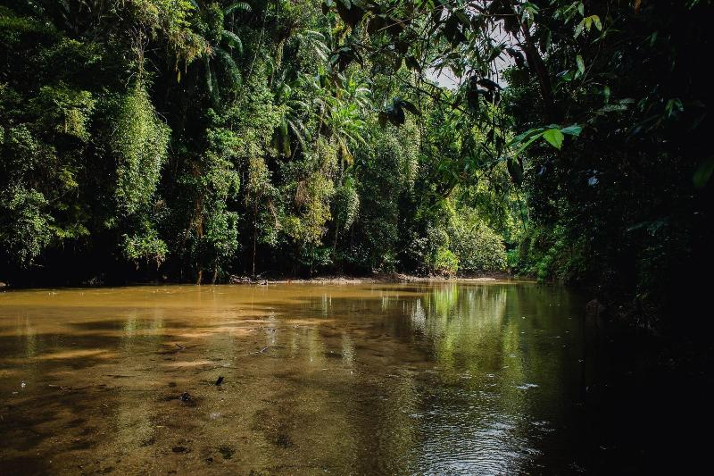 Amadamata Refugio Ecologico (10)
