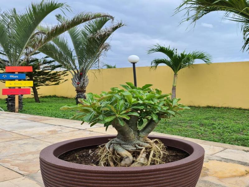 Pousada Sonho De Mar (18)