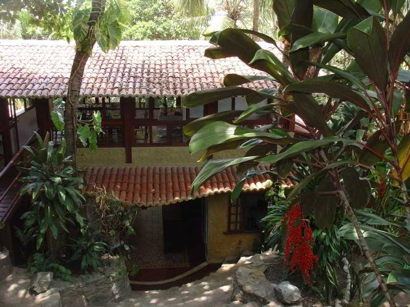 Pousada Tamandua (9)