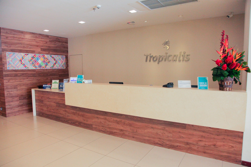 Tropicalis Palms (9)