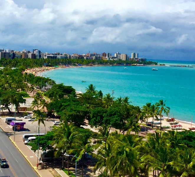 Tropicalis Palms (12)