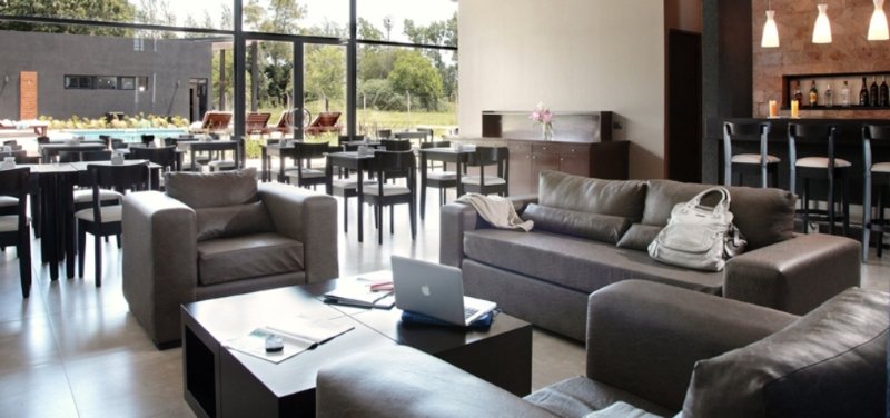 Dazzler Campana (12)