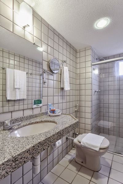 Infinity Hotels American Flat (7)