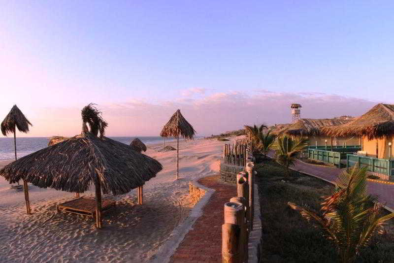 Vichayito Bungalows y Carpas (4)