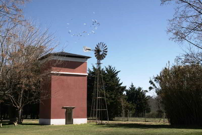 Posada Los Eucaliptus (6)