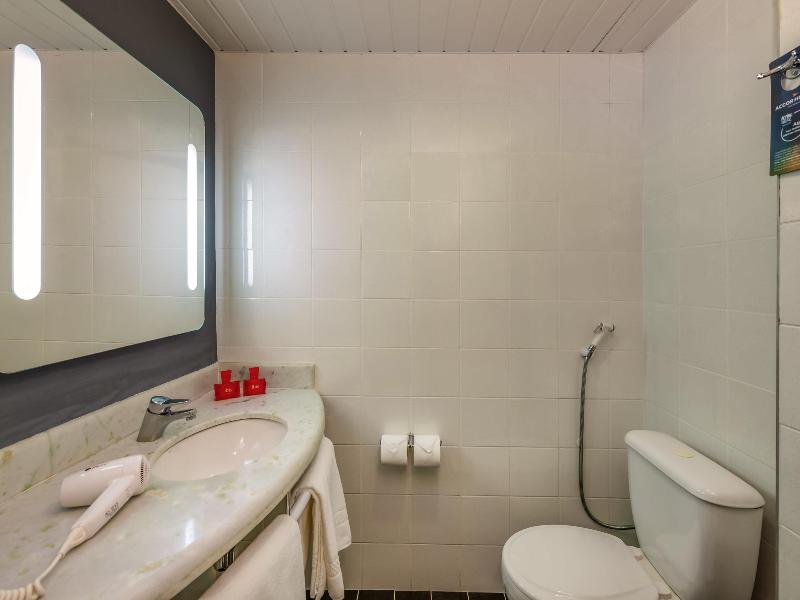 ibis Paulinia (4)
