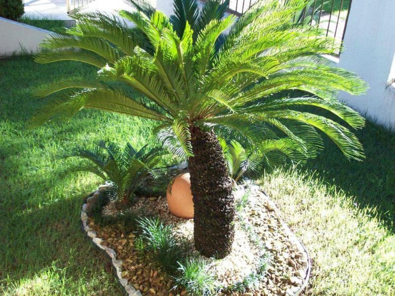 Casa do Turista (17)