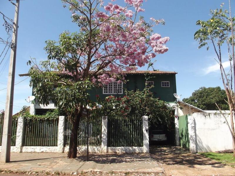 Green House Hostel (10)