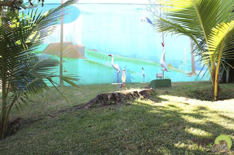 Pousada Natureza Foz (17)