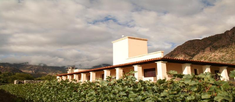 Viñas de Cafayate Wine Resort (8)