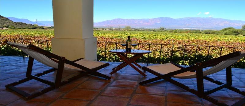 Viñas de Cafayate Wine Resort (15)