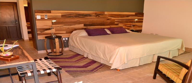 Viñas de Cafayate Wine Resort (18)