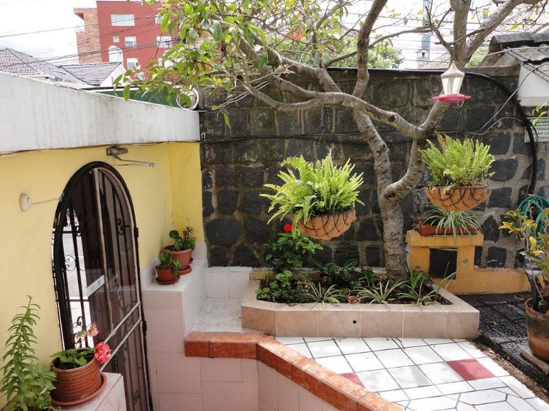 Rincon Escandinavo (10)