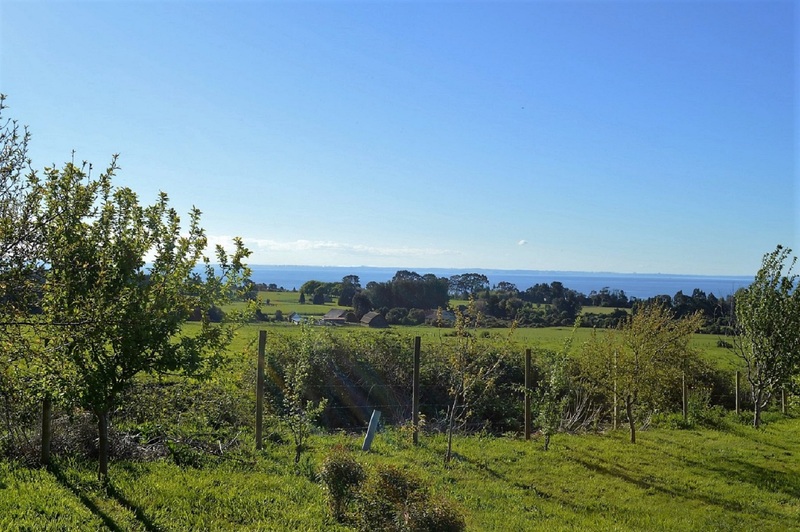 Cabañas Anulen Puerto Varas (17)