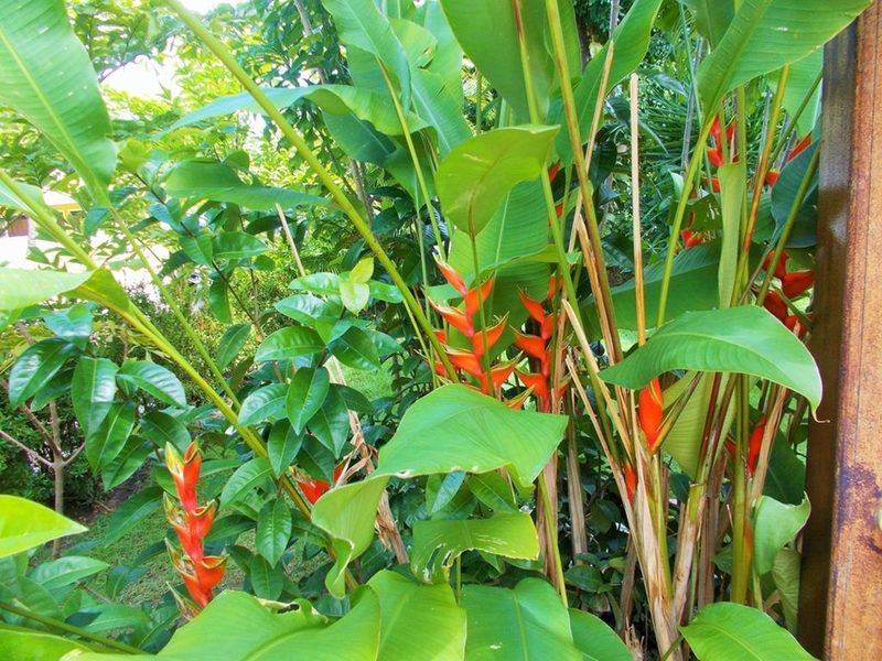 Pousada Lua Cheia (8)