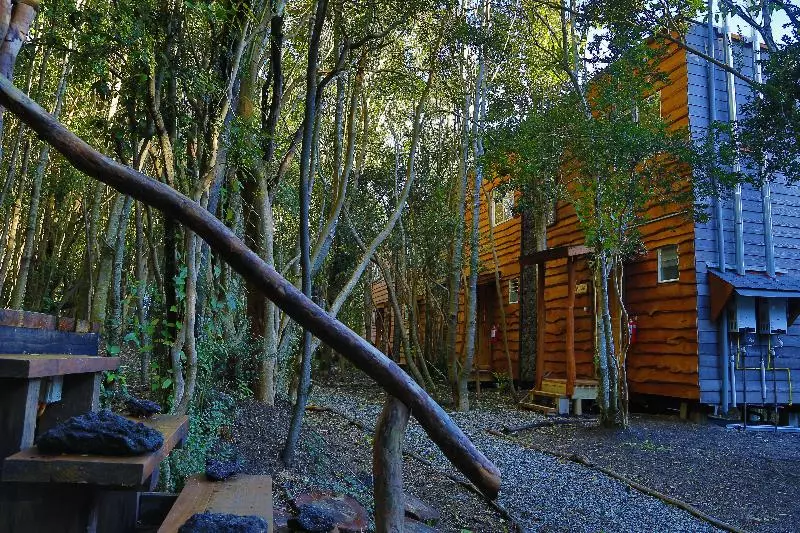 Cabañas Ensenada Bosque Nativo
