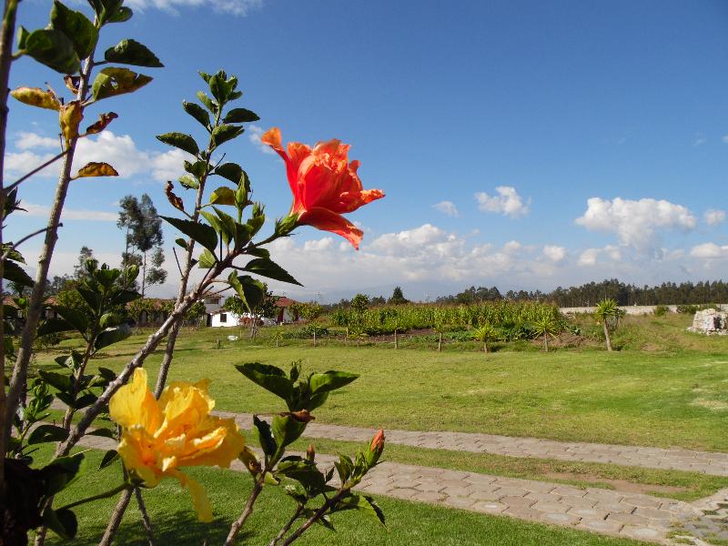 Posada Mirolindo (3)