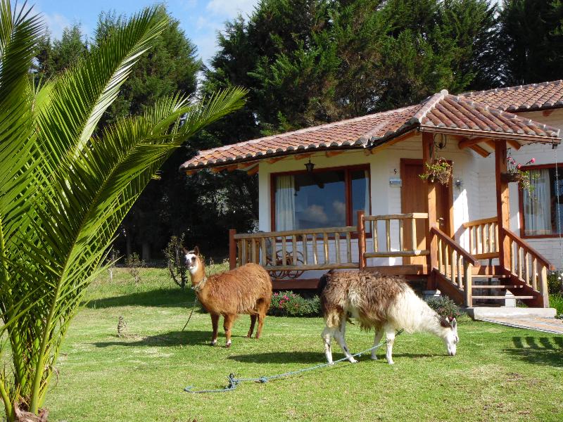 Posada Mirolindo (8)