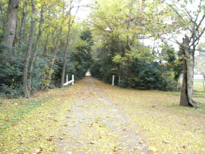 Estancia Santa Elena (6)