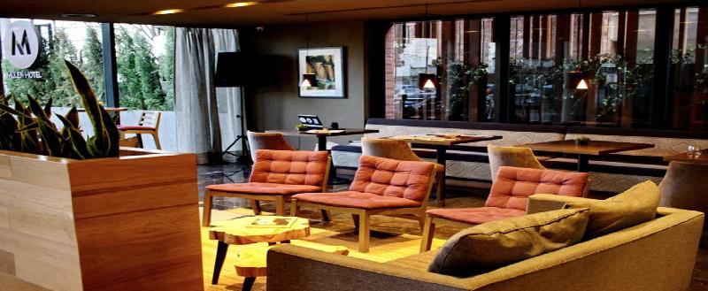 Mulen Hotel Tandil (6)