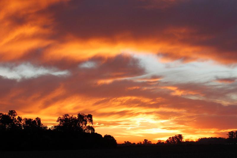 Estancia Argentina La Armonia (4)