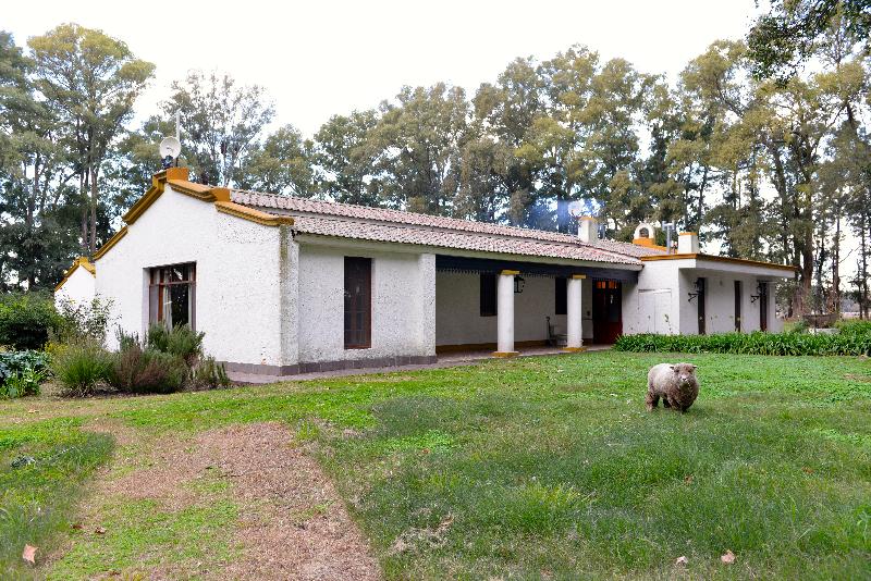 Estancia Argentina La Armonia (15)