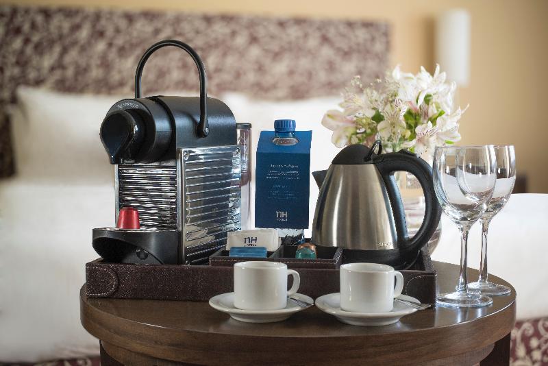 NH Mendoza Cordillera (2)