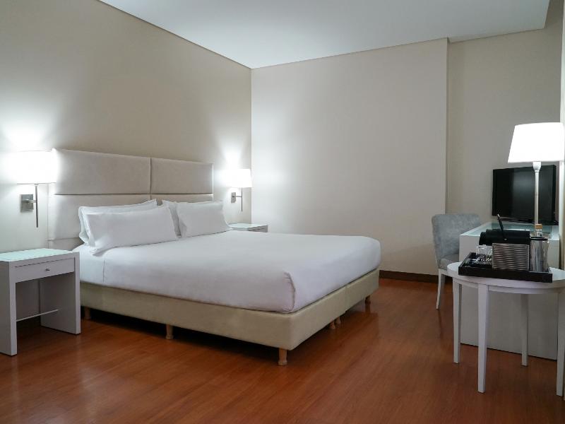 NH Mendoza Cordillera (3)