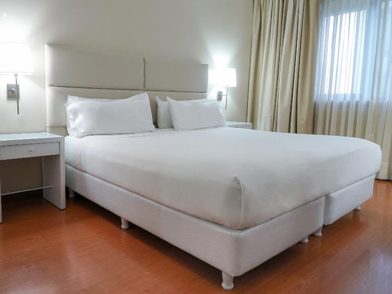 NH Mendoza Cordillera (7)