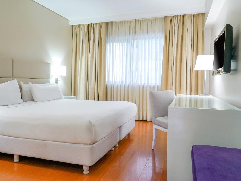 NH Mendoza Cordillera (9)