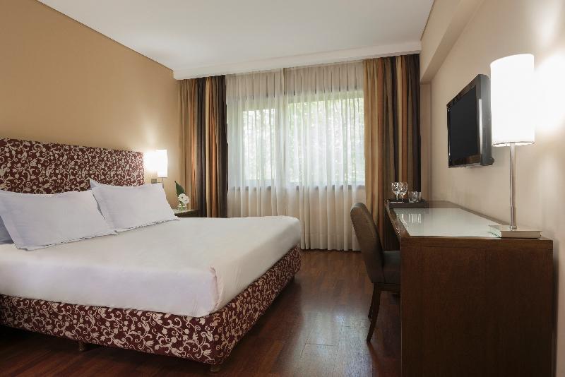 NH Mendoza Cordillera (10)