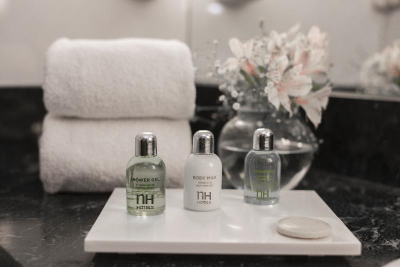 NH Mendoza Cordillera (13)