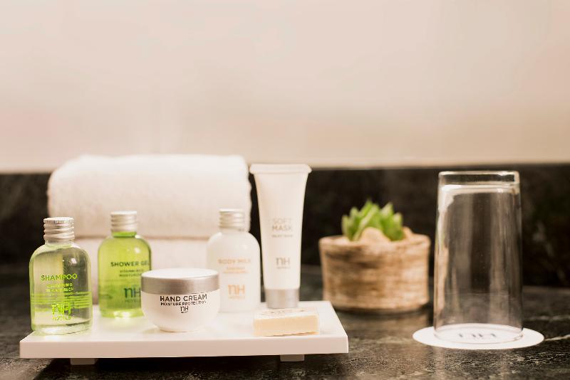 NH Mendoza Cordillera (14)