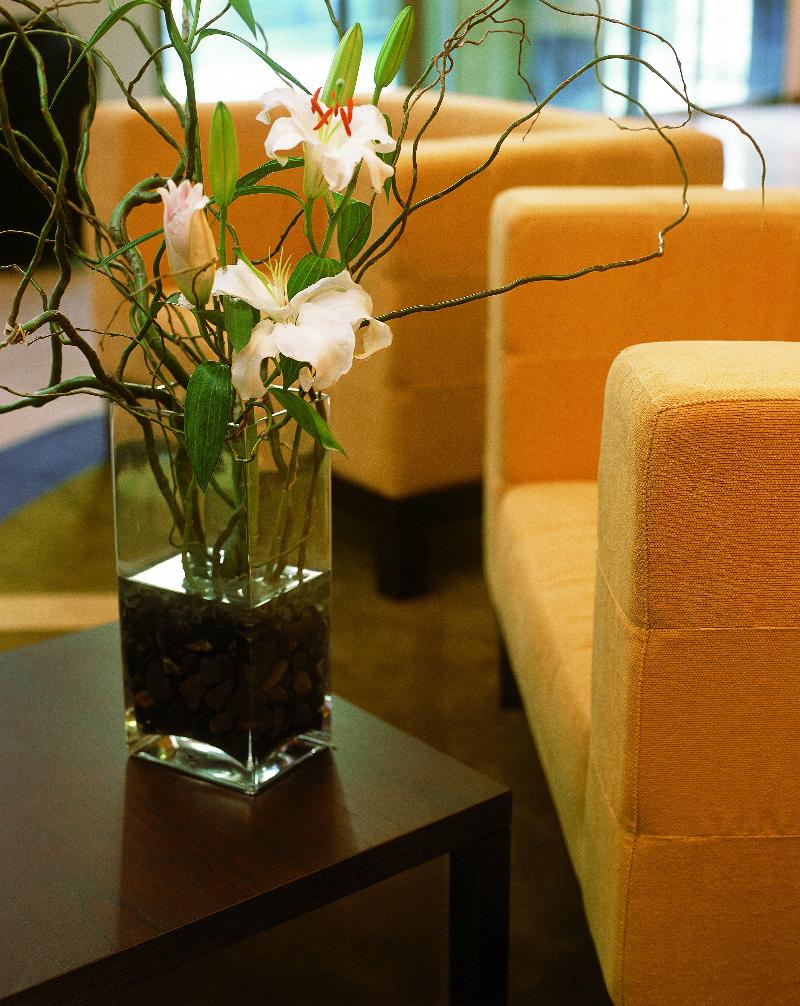 NH Mendoza Cordillera (19)