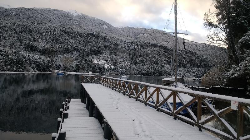 HOSTERIA VERDE MORADA (3)