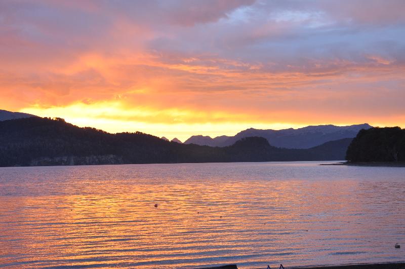 HOSTERIA VERDE MORADA (4)