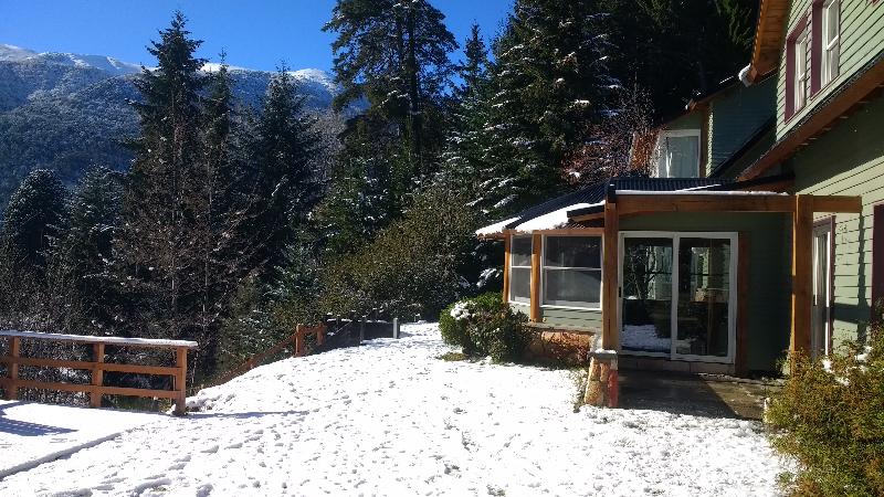 HOSTERIA VERDE MORADA (5)